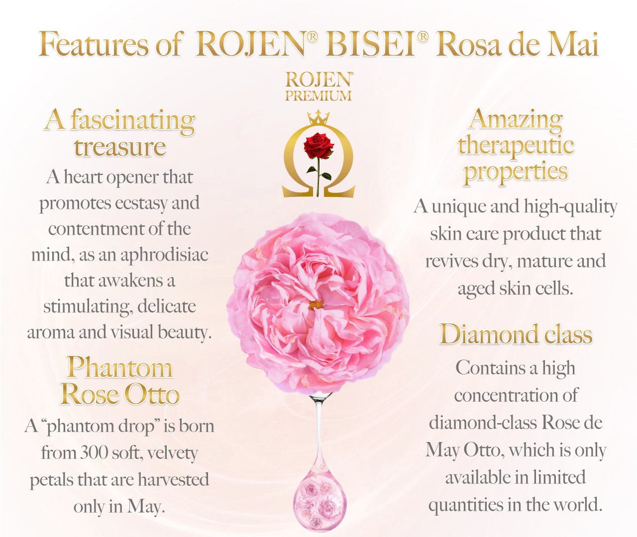 Rose de Mai BISEIOIL® (60ml)